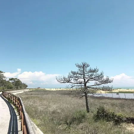 公寓 Ranieri-3 By Interhome *